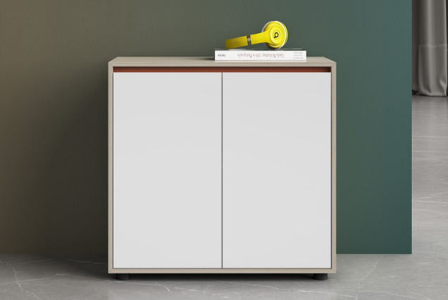 闆式文(wén)件(jiàn)櫃-3